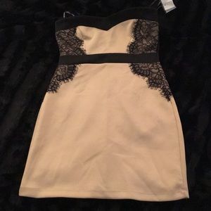 NWT Trixxi Nude and black lace dress - size 3